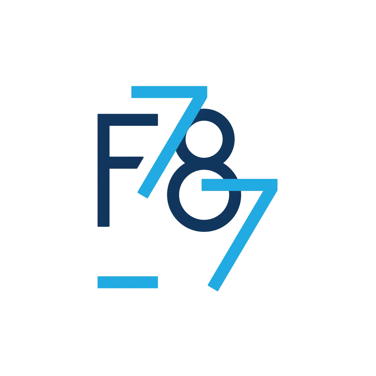 Fondacija za društveno-ekonomski razvoj 787