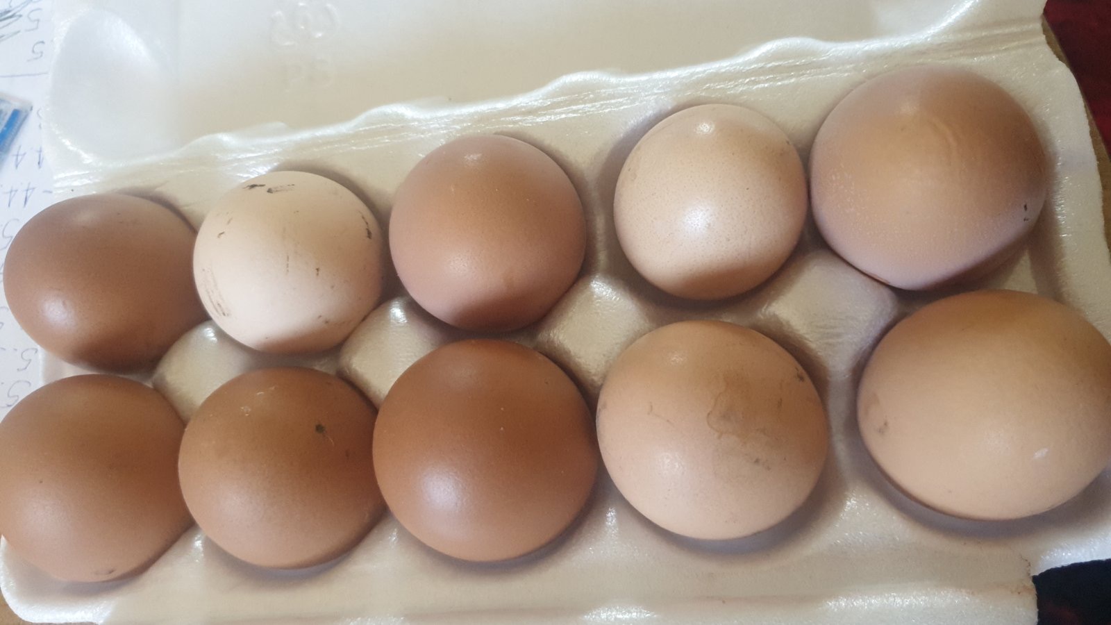 Domaca jaja 